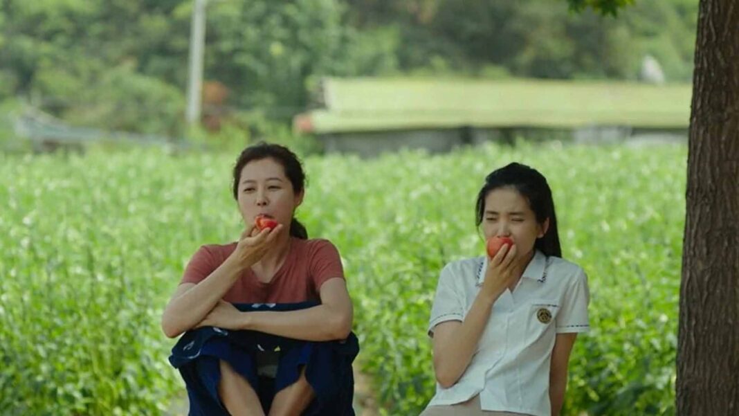 20221103 PAGEONE - Little Forest 2018_by South Korean director and screenwriter Yim Soon-rye