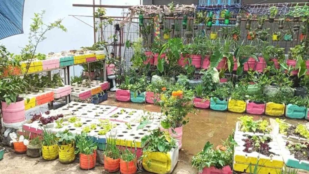 20221107 PAGEONE - Garden