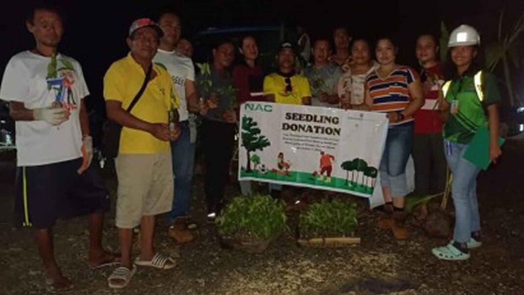 20221107 PAGEONE - Seedlings