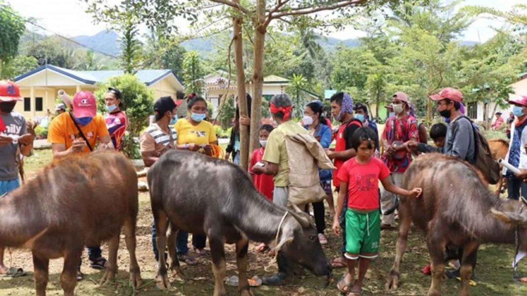 20221114 PAGEONE - Indigenous Peoples