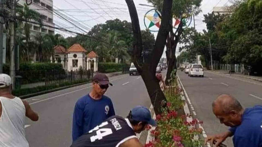 20221116 PAGEONE - Trees planted