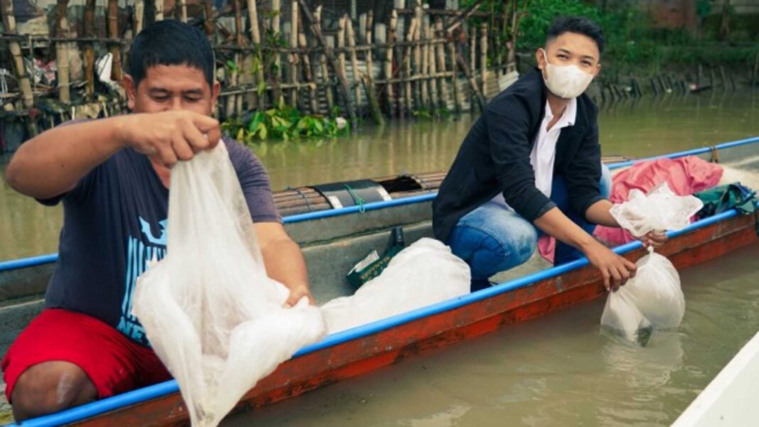 20221122 PAGEONE - Carp fingerlings