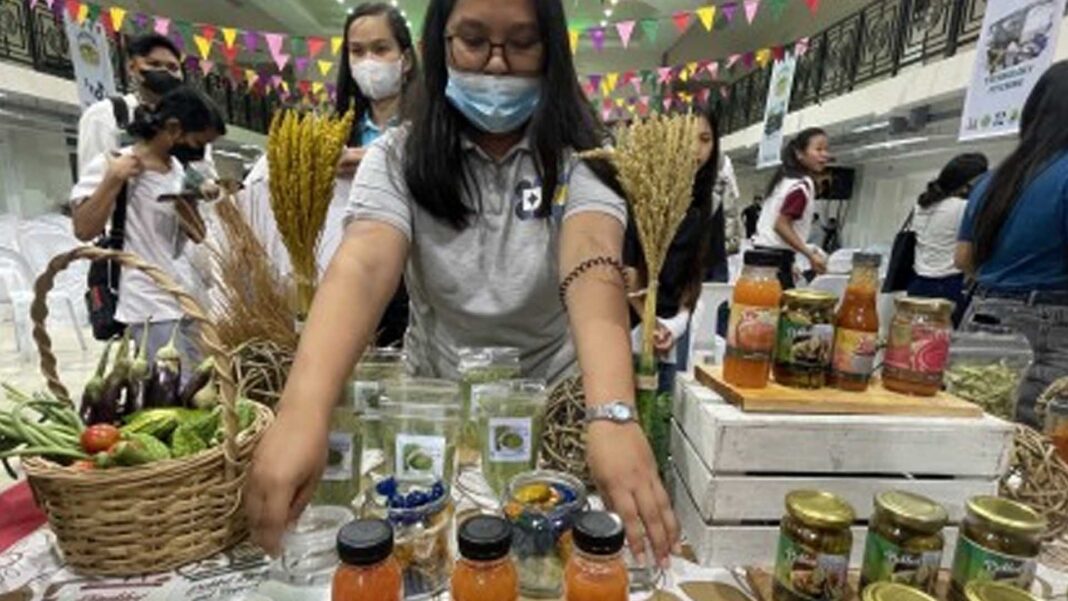 20221122 PAGEONE - Veggie fiesta