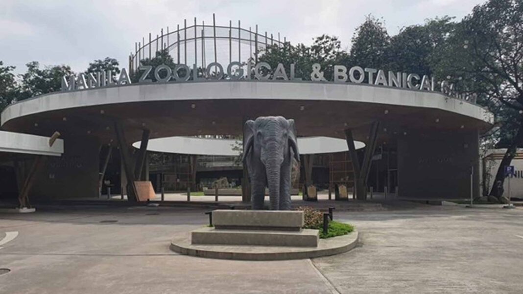 20221124 PAGEONE - Manila Zoo