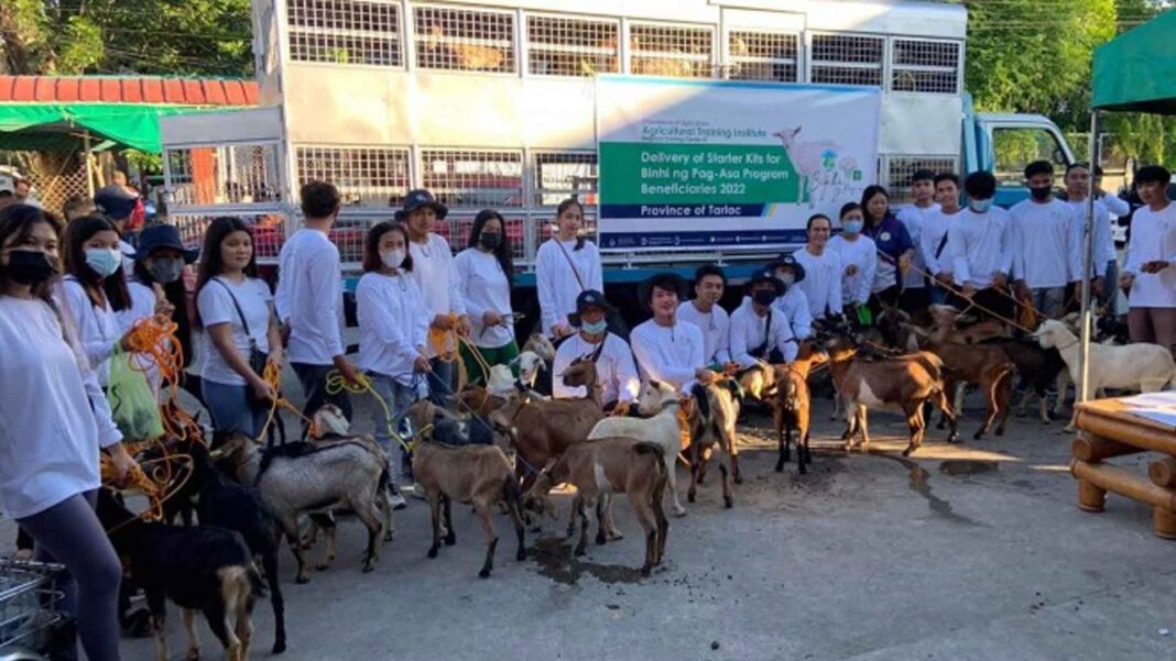 20221201 PAGEONE - Agripreneurs