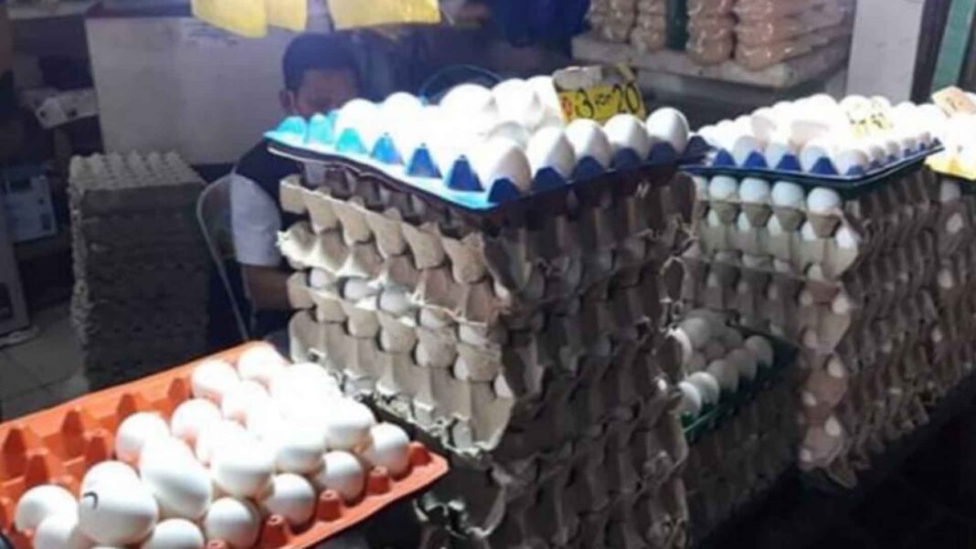 20221211 PAGEONE - Eggs