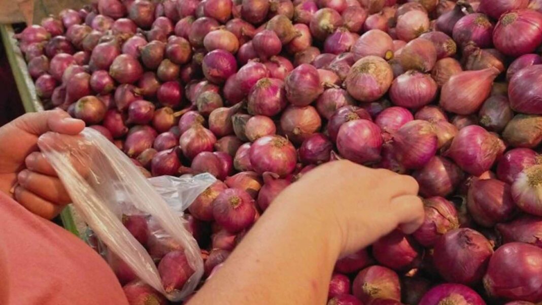 20230109 PAGEONE - Onion