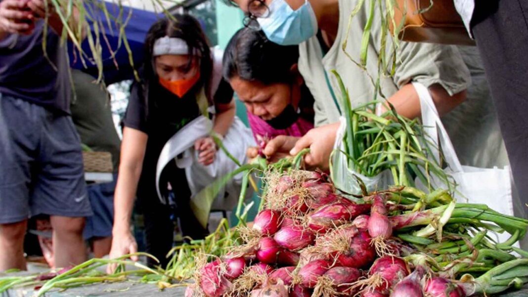 20230116 PAGEONE - Onions