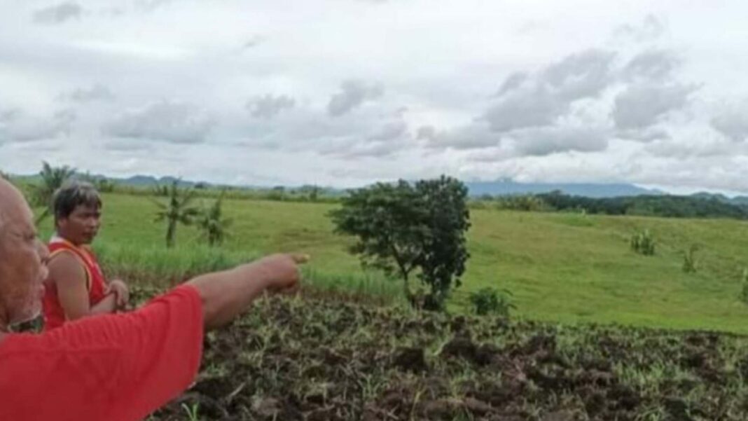 20230126 PAGEONE - Lands