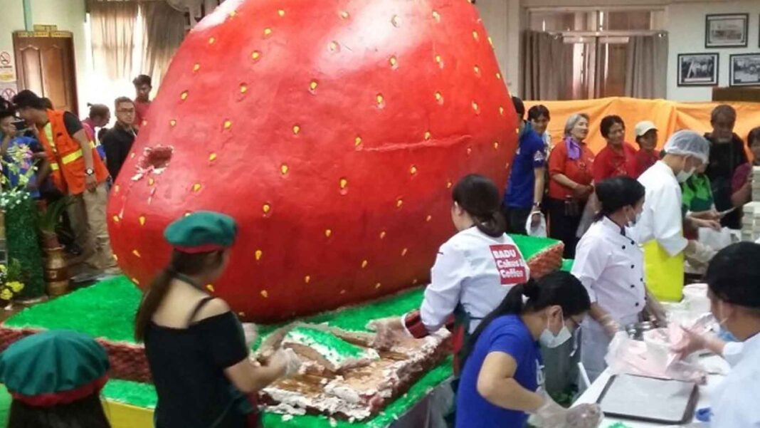 20230131 PAGEONE - Strawberry Fest