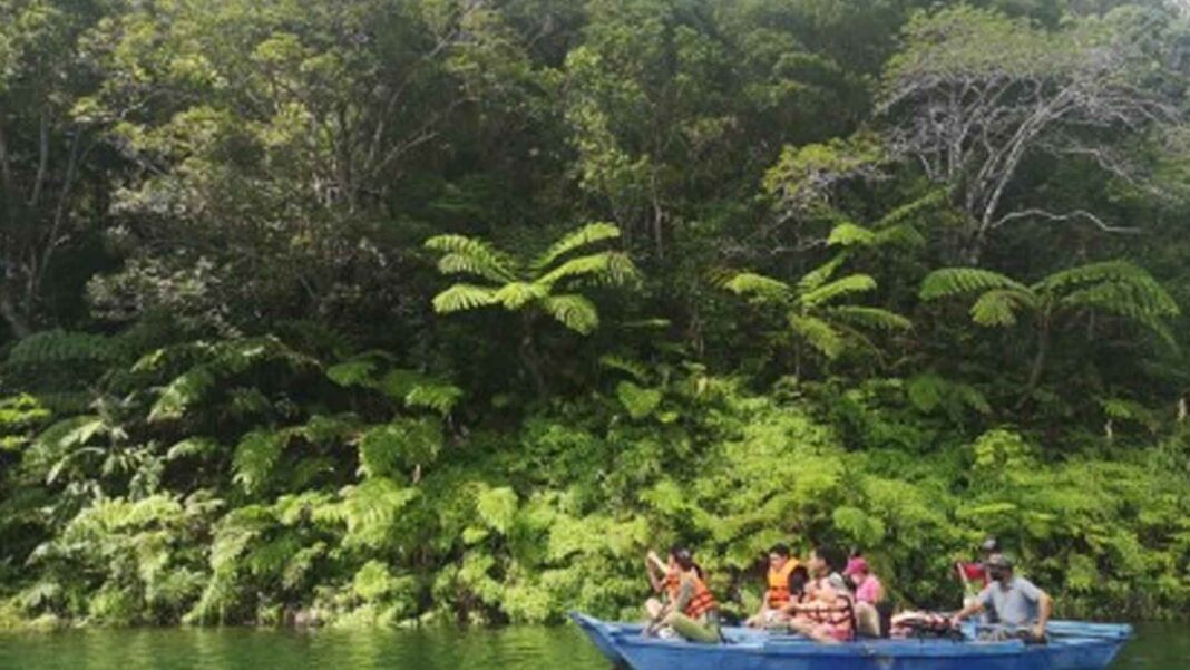 20230131 PAGEONE - Twin Lakes