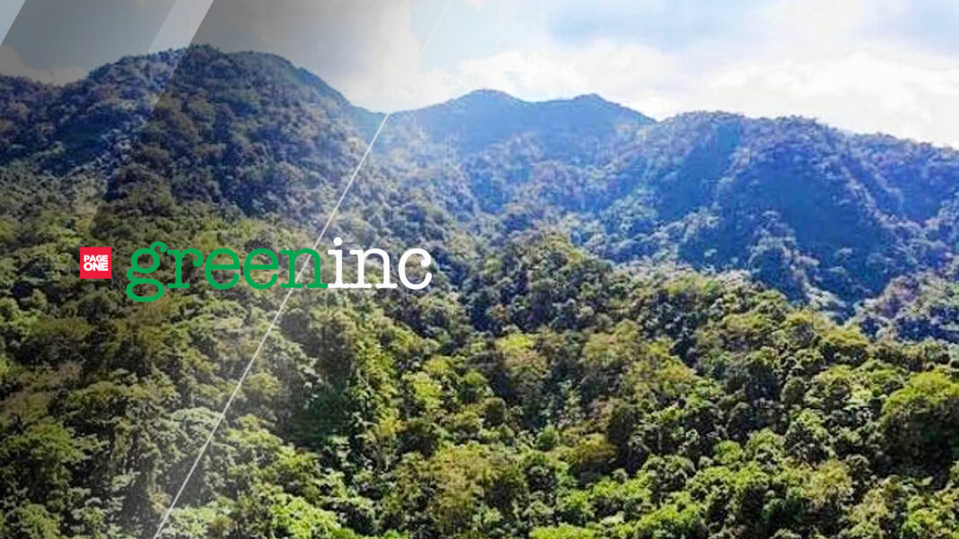 20221018 PAGEONE - Mountain_greeninc