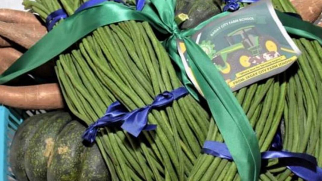 20230205 PAGEONE - Fresh farm