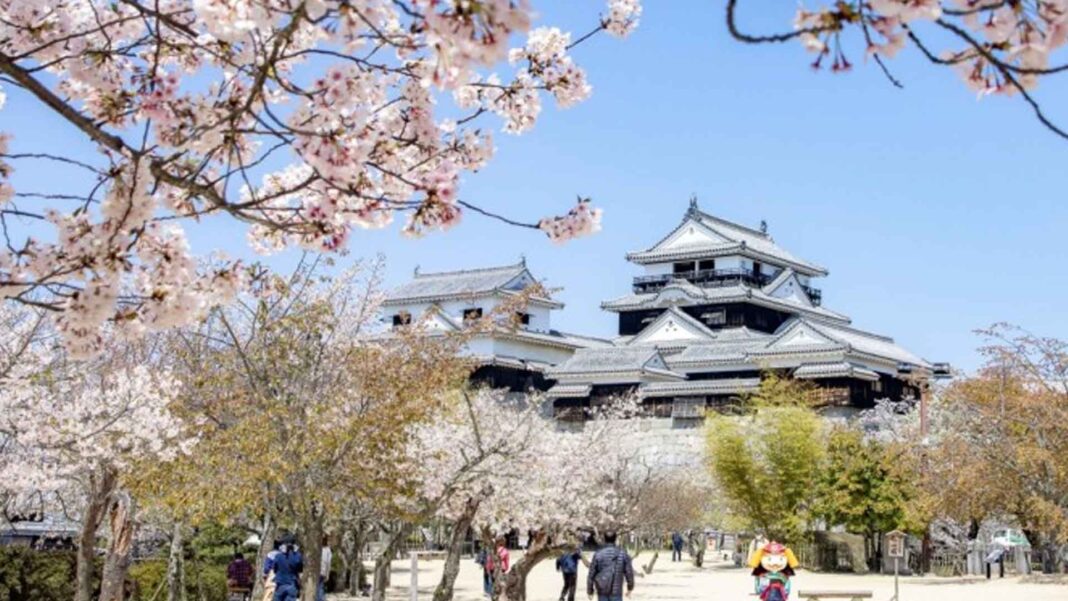 20230212 PAGEONE - Japan