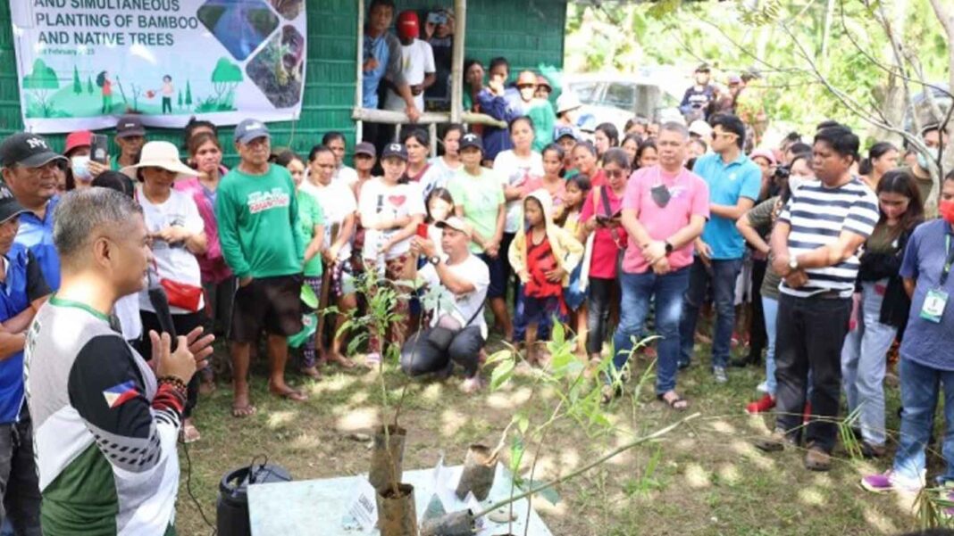 20230212 PAGEONE - Trees planted