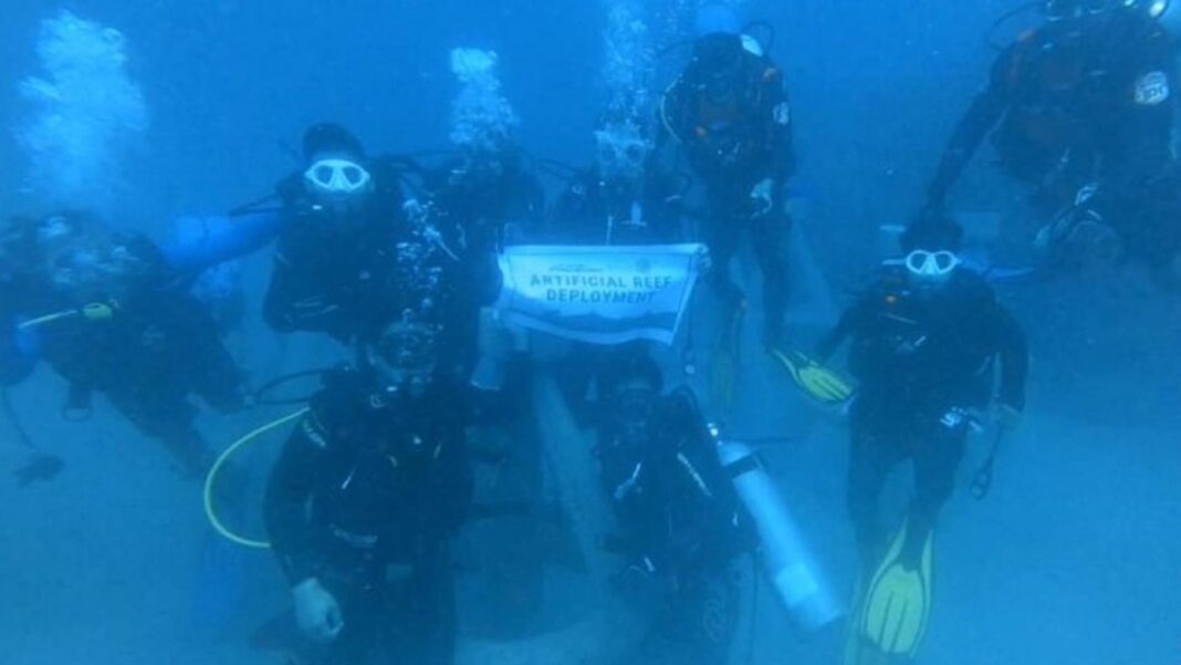 20230216 PAGEONE - Artificial reefs