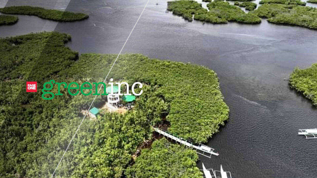 20230220 PAGEONE - Del Carmen Mangrove Reserve_greeninc