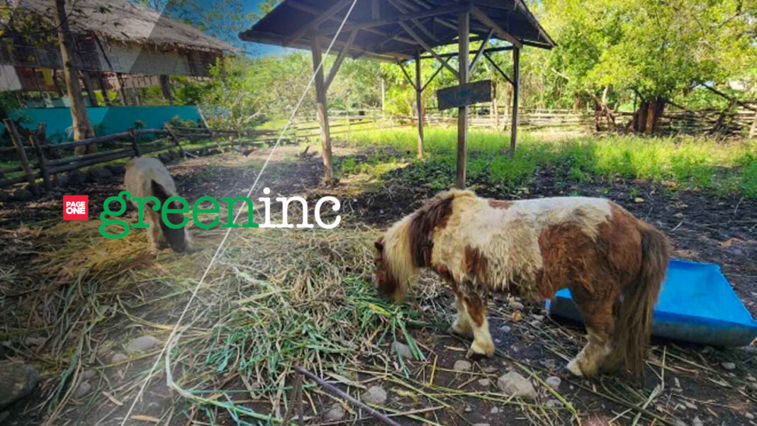 20230305 PAGEONE - Zoo_greeninc