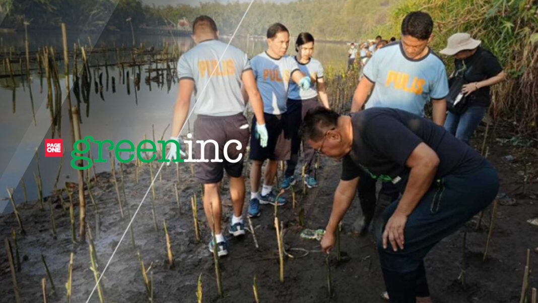 20230313 PAGEONE - Mangrove planting_greeninc