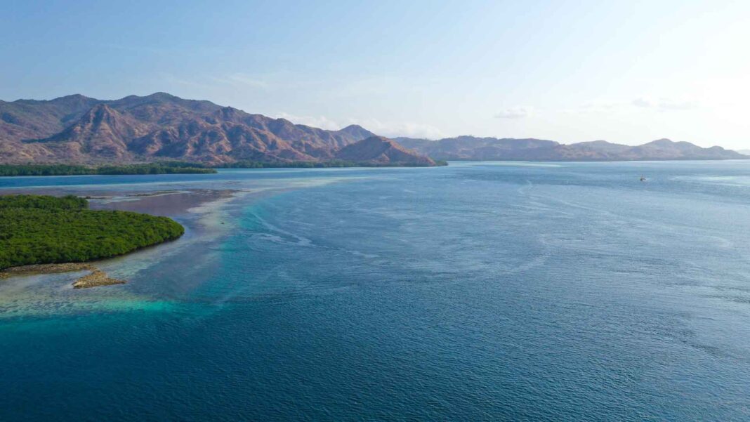 20230319 PAGEONE - Beach