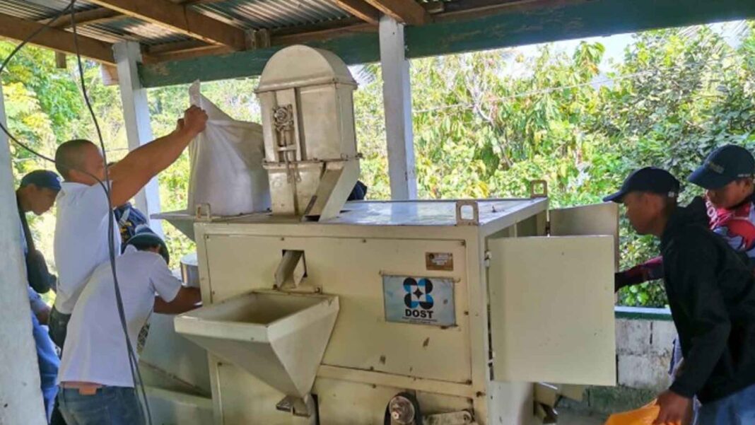 20230326 PAGEONE - Brown rice