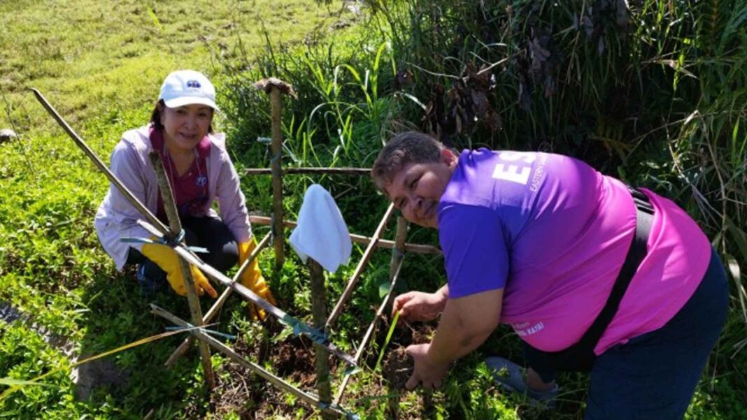 20230329 PAGEONE - Tree planting