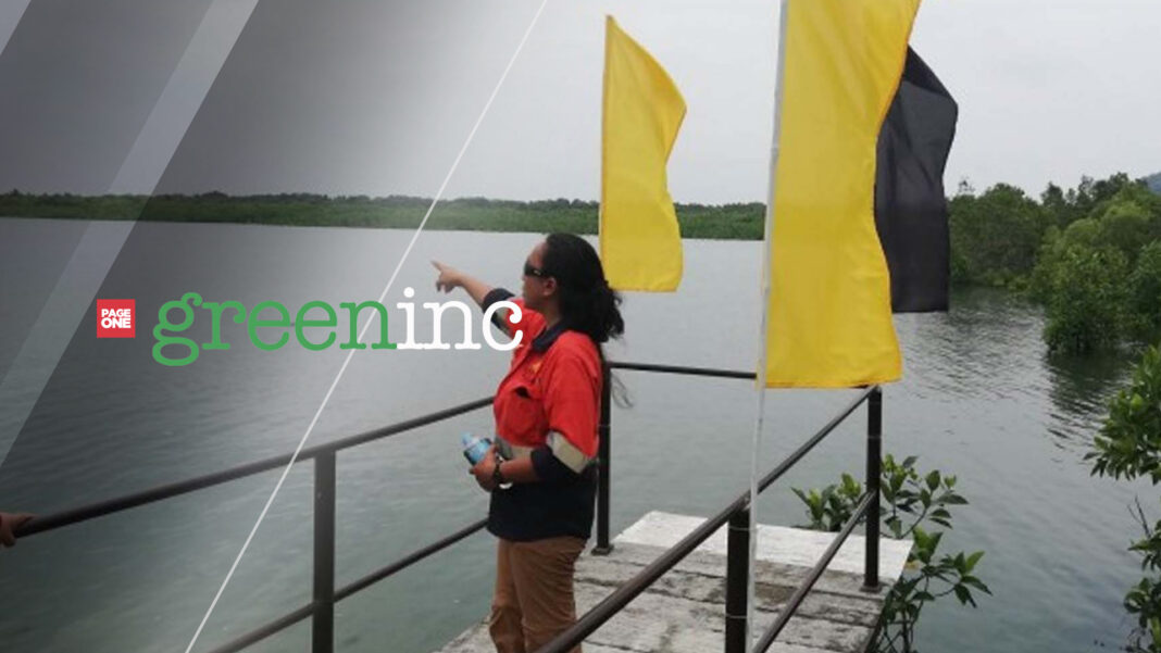 20230413 PAGEONE GREENINC - Mangrove