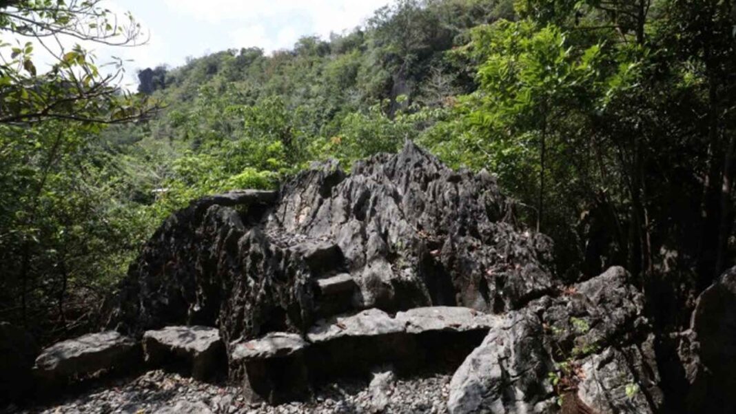 20230418 PAGEONE - Masungi