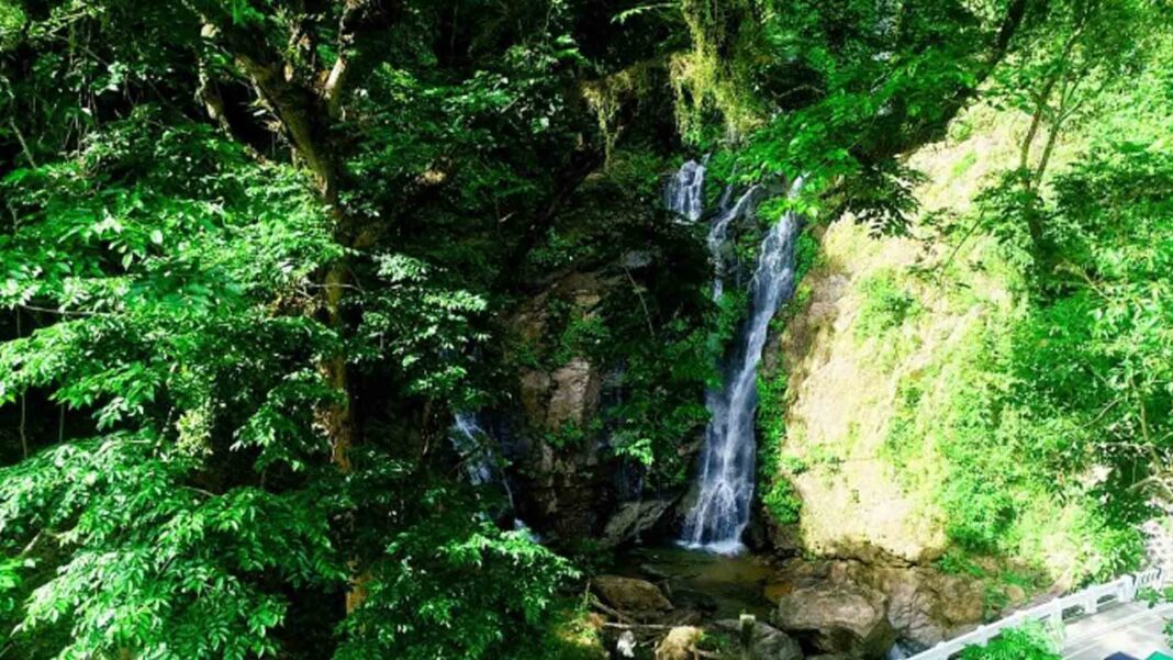 20230423 PAGEONE - Tamaraw Falls