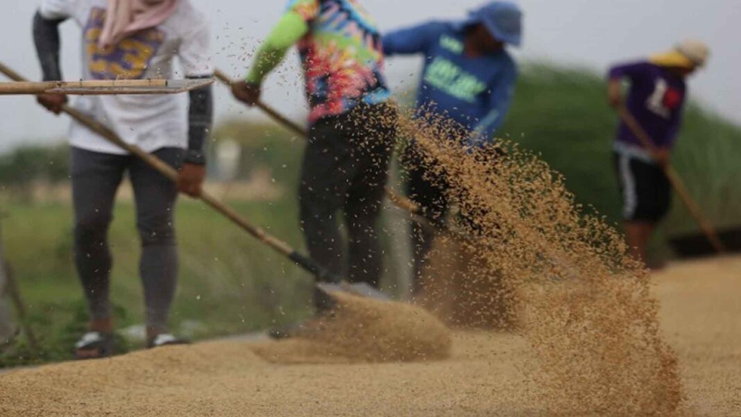 20230425 PAGEONE - Farm workers