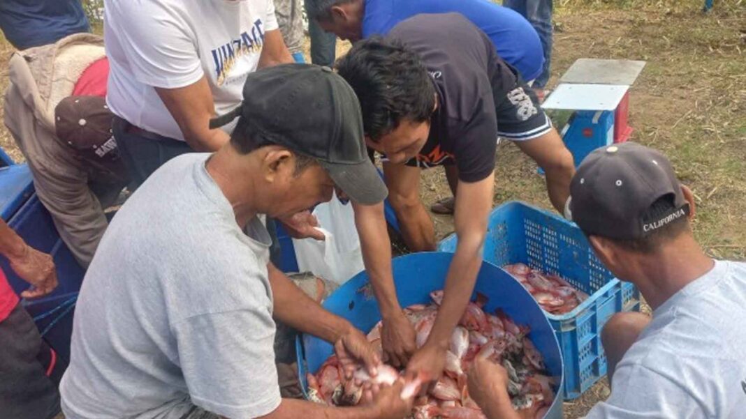 20230507 PAGEONE - BFAR