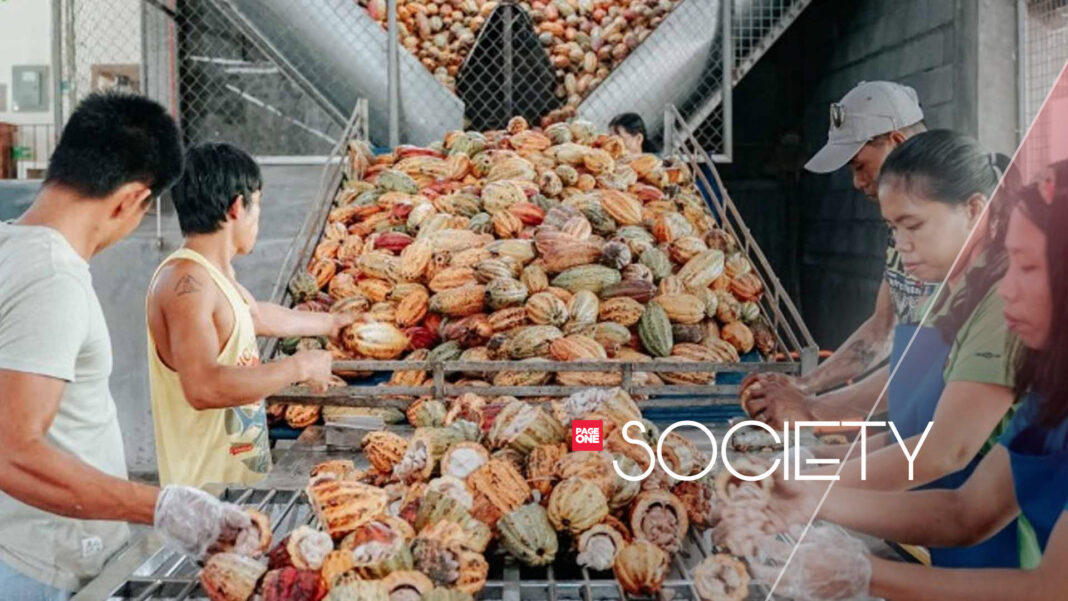 20230510 PAGEONE SOCIETY - Cacao factory