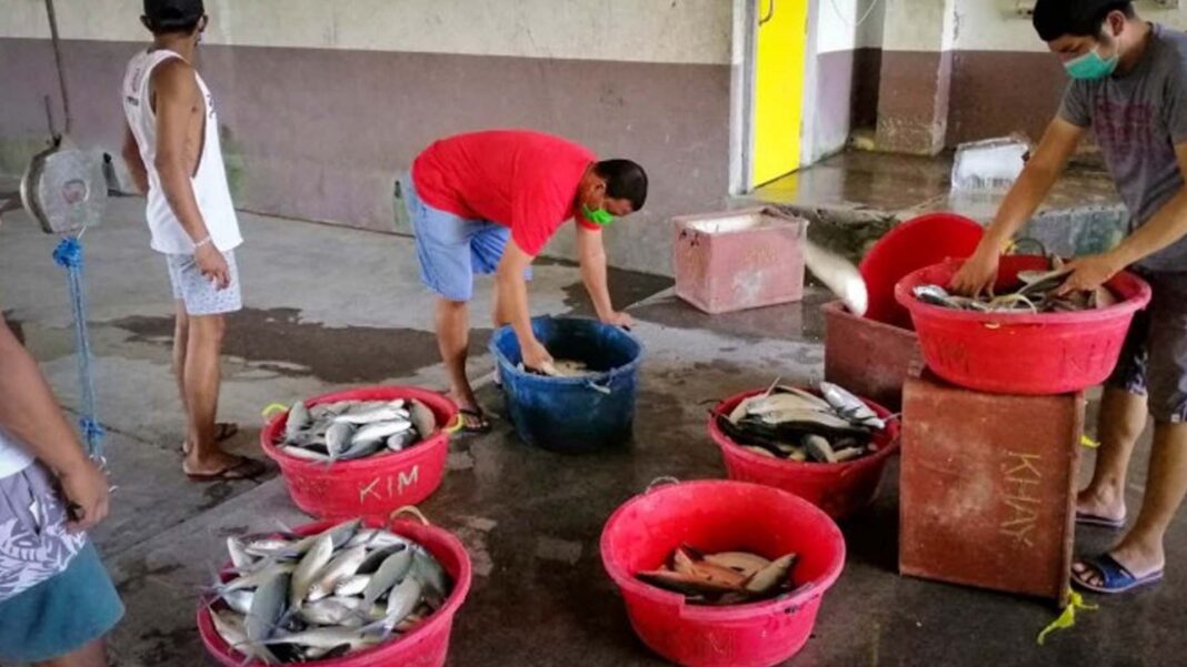 20230511 PAGEONE - Bangus