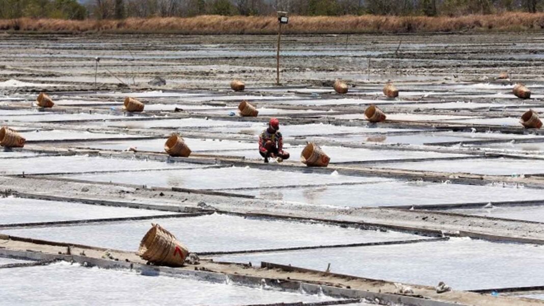 20230511 PAGEONE - Salt