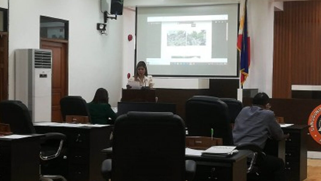 20230515 PAGEONE - Karmila Rose Dimamay