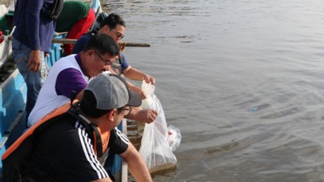 20230516 PAGEONE - Fingerlings