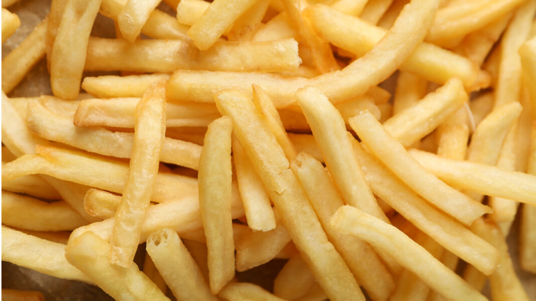 20230525 SOCIETY French Fries