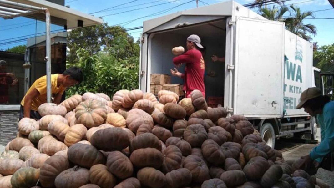 20230530 PAGEONE - Squash