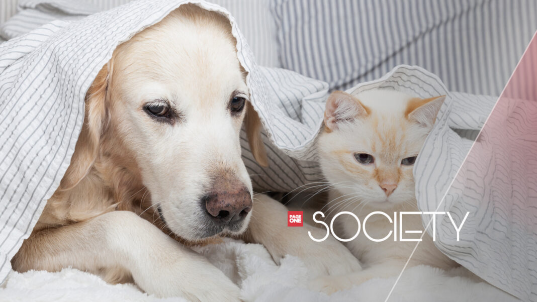 20230607 PAGEONE Fur Babies