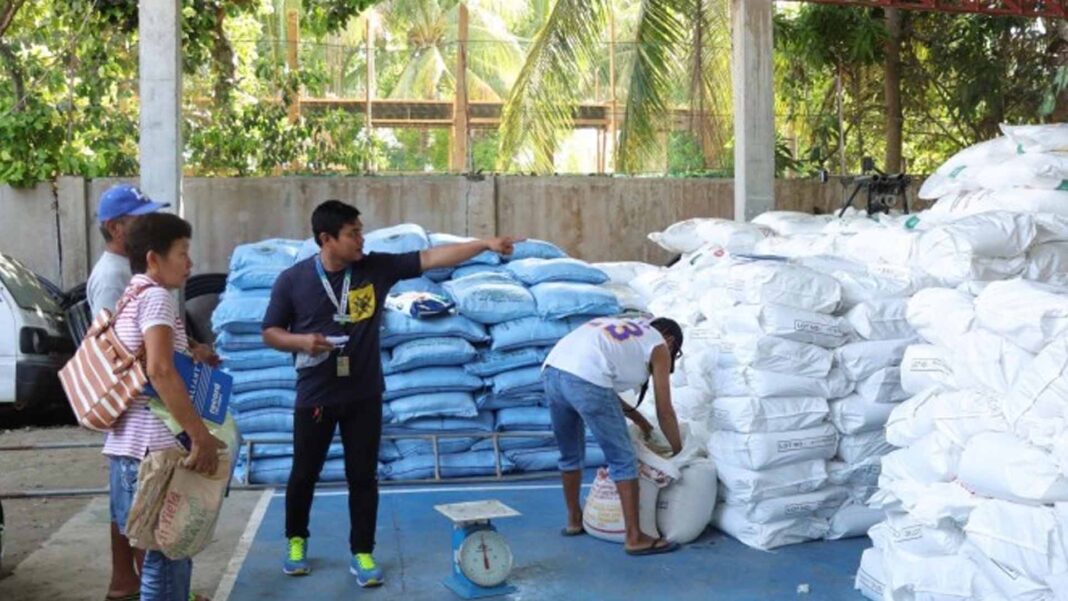 20230608 PAGEONE - Batac City farmers