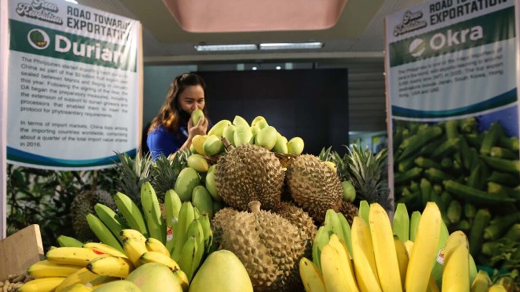 20230613 PAGEONE - Fruits