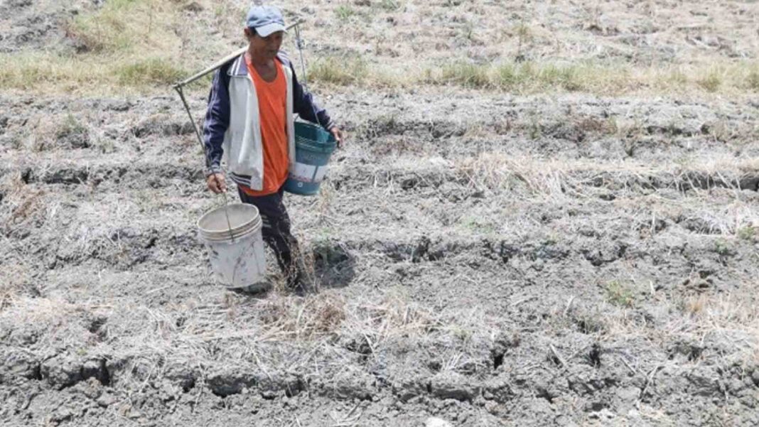 20230710 PAGEONE - El Niño