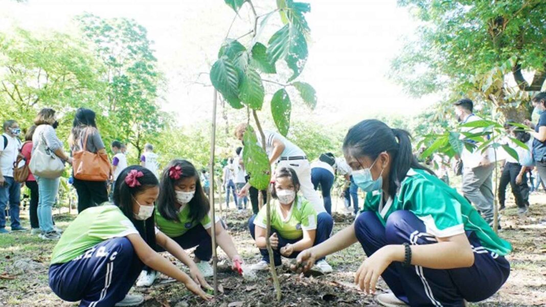 20230829 PAGEONE - Tree-planting
