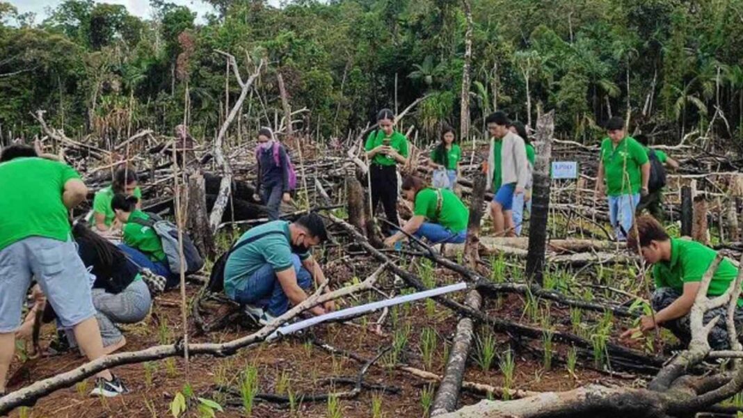 20230904 PAGEONE - Planting