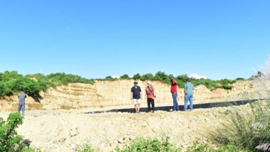 20230905 PAGEONE - Bamboo sanctuary