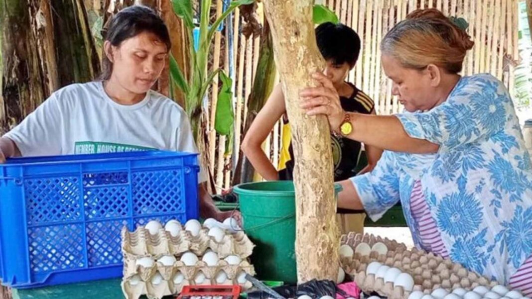 20230905 PAGEONE - Egg