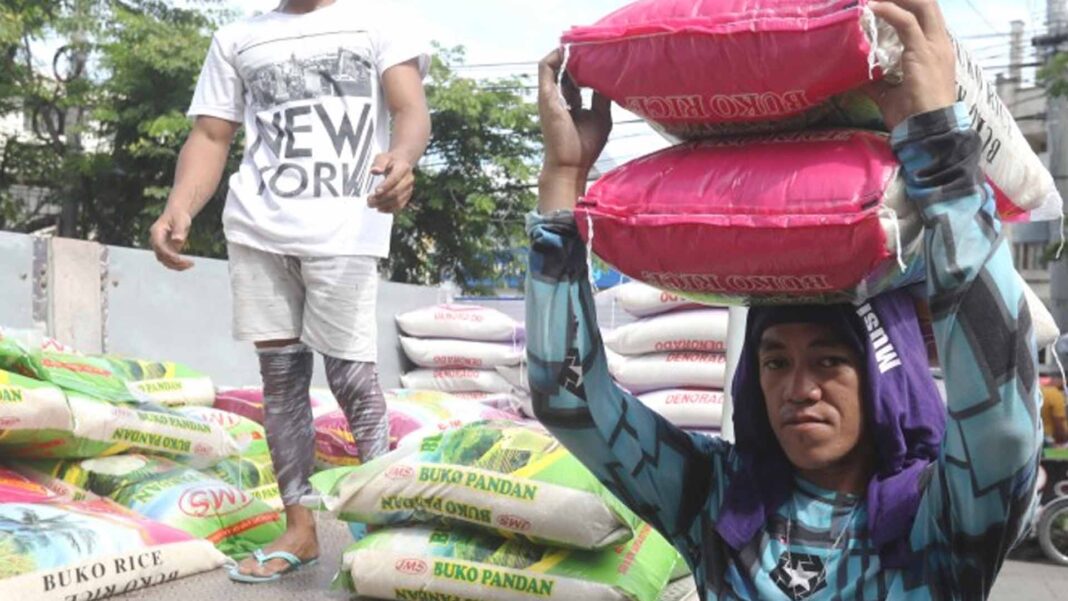 20230905 PAGEONE - Rice