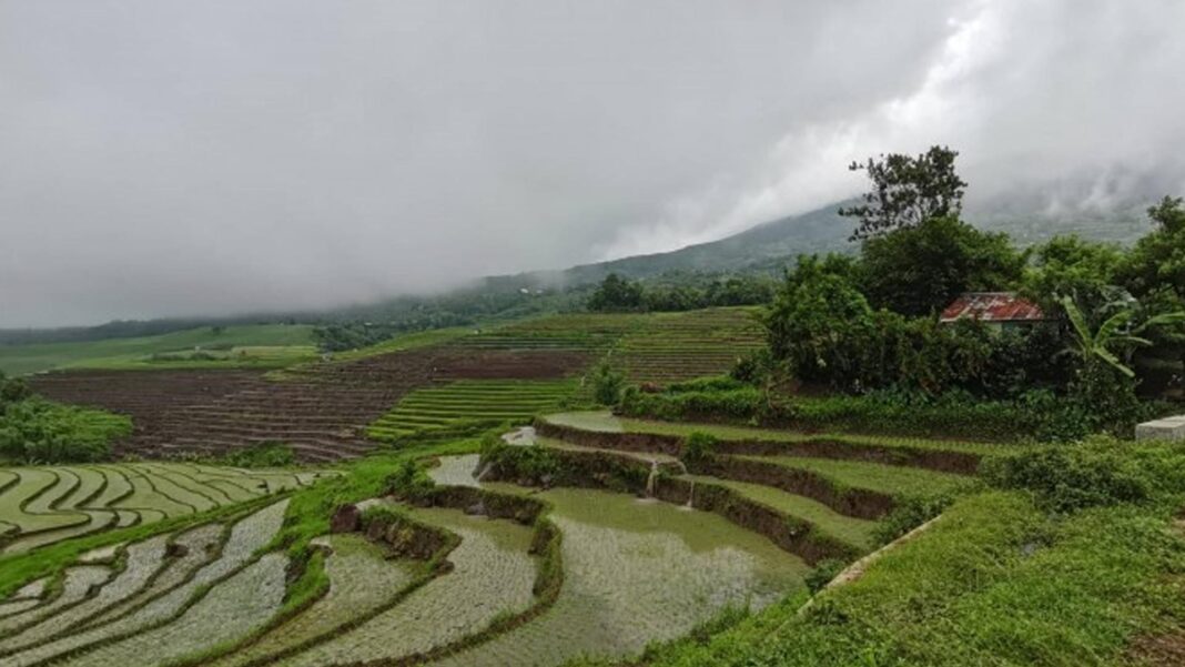 20230912 PAGEONE - Farm