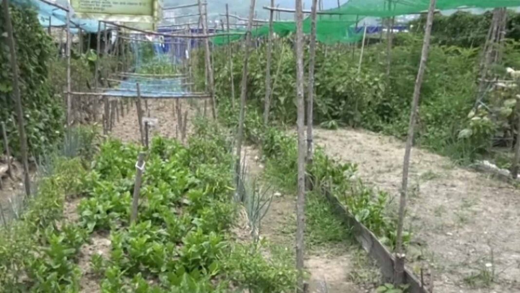 20230912 PAGEONE - Farming