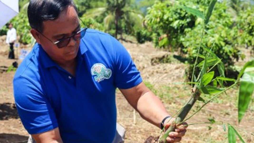 20230920 PAGEONE - Planting